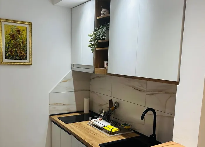 Apartmansko Naselje Jezero 公寓 Vrnjačka Banja